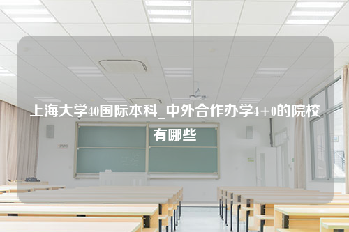 上海大学40国际本科_中外合作办学4+0的院校有哪些